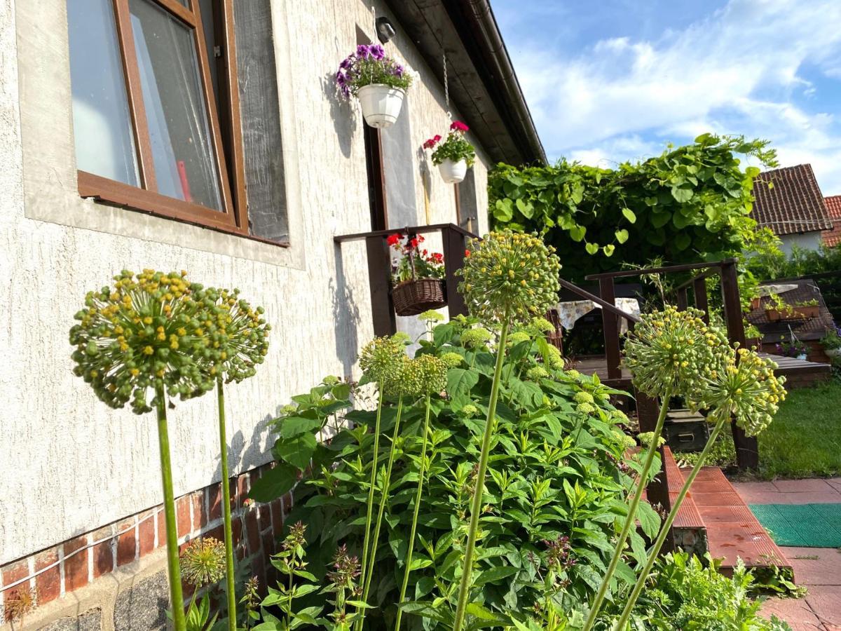 Appartement Dom Nad Krutynia à Ukta Extérieur photo