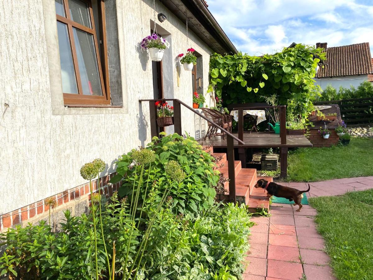 Appartement Dom Nad Krutynia à Ukta Extérieur photo